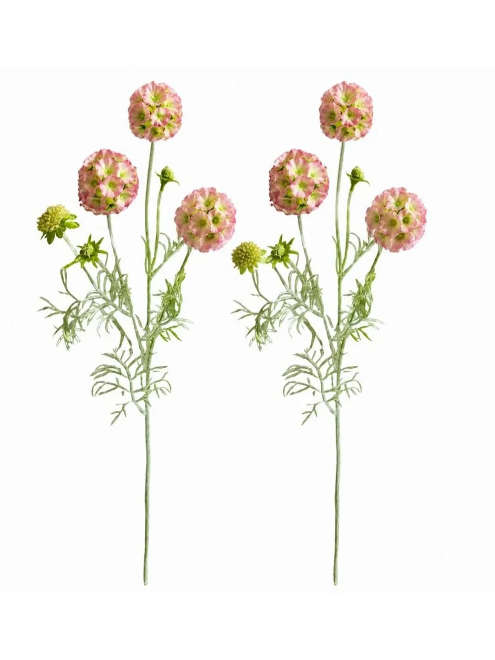 Scabiosa Flower Stems Pink Green Faux Wildflower Floral Filler